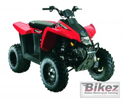 polaris 500 scrambler 2010